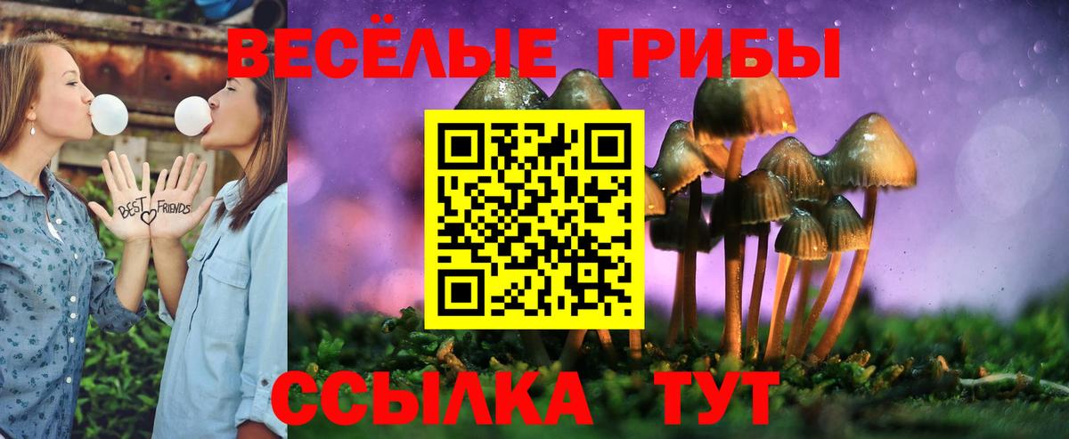 Фурманов  Псилоцибиновые грибы Cubensis  Вход с VPN 